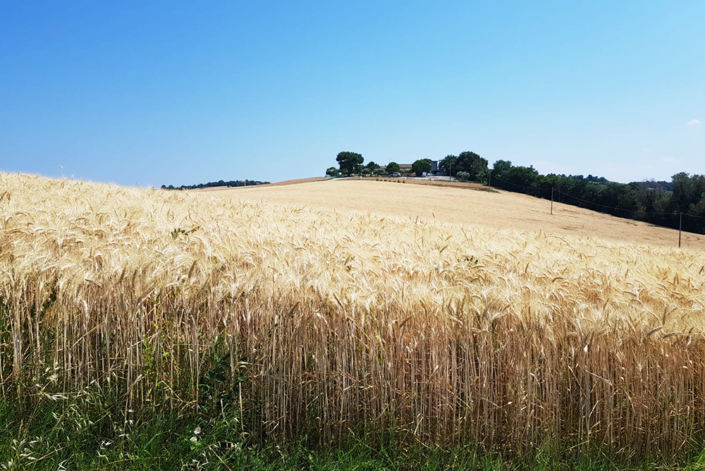 Foto 1 Prodotti D'Autore