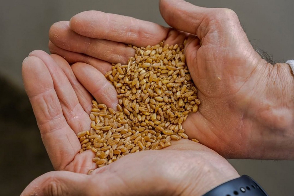 Foto 2 Prodotti D'Autore