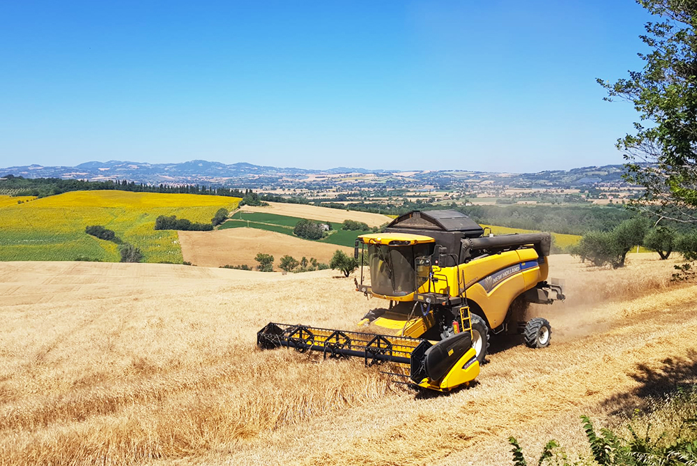 Foto 4 Prodotti D'Autore